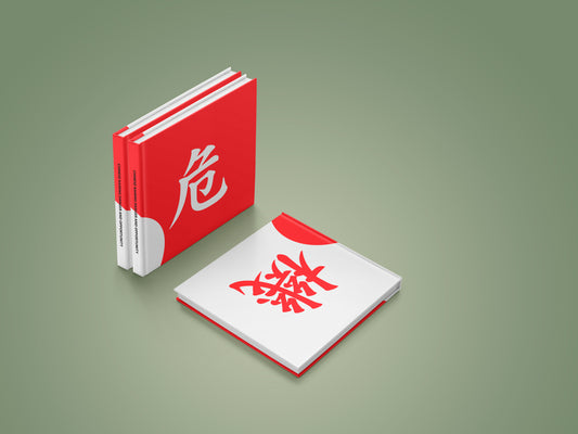 Gefahr-Chance-Journal: Problem-Lösung