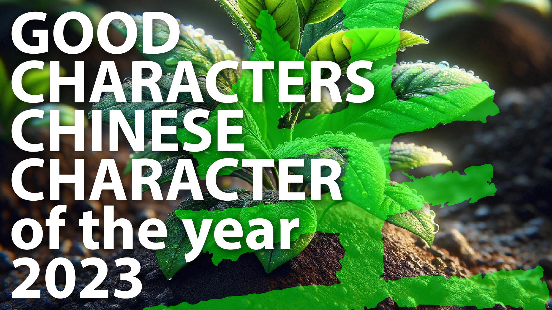Video laden: Diese Präsentation bietet Informationen über die Fachkompetenz von Good Characters bei der Entwicklung wichtiger und gesetzlich vorgeschriebener chinesischer Namen.